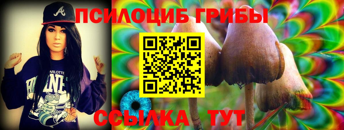 Галлюциногенные грибы Cubensis Котовск