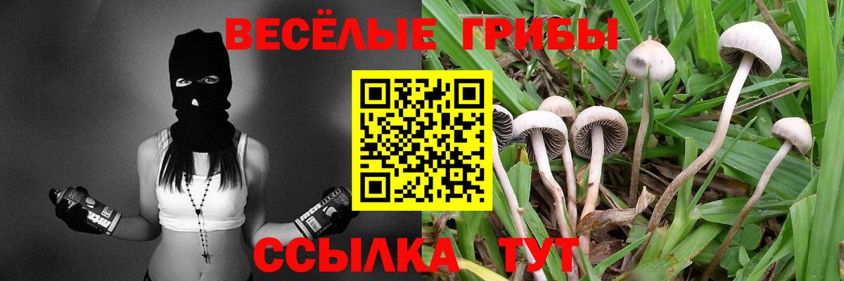 где купить наркоту  Вход с VPN  Котовск  Галлюциногенные грибы Psilocybine cubensis 